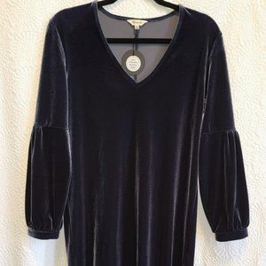 Madewell Velvet Balloon Sleeve Dress